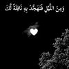user313003029414