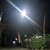 kepin3sptra11_