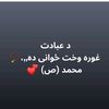 mdawood764