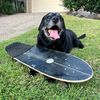 ezra_hutton