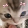 little_pinkss