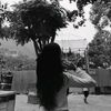 soyasha.thapa6