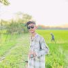 bbinodon1