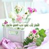 maznfz