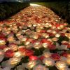 omar.fathy9738
