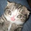 wannabesomeonewholoveme