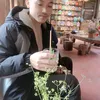 phuongluc.88