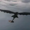 yung httyd