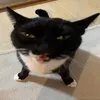 Le gourmand