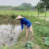 cohangxom_8386