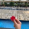 salama.aljneibi8