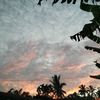 _syaaaaa33