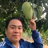 truongphuongbinh