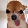 1_no_soy_yo_12345