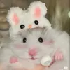 baongoc.cutephomaique