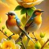 ahmad00858