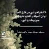 lm6a5r4.al7sh5i3k