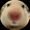 mittcuti_207