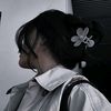ايـــــــلام🕊️