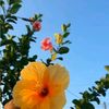 ashadul.islam588