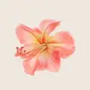 aseel22a7