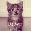 pavement_sn0rp