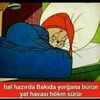 alika2843