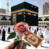 user810023216137