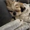 ivibibi6