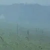 guesowi9