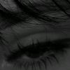 miss_141513901389