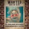 maggie.pooley