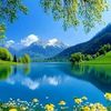 user6129256024026