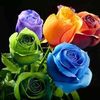 user7635582013072