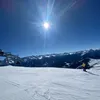 olivenboom2
