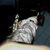 den_nis8