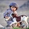 naseeb.kokop