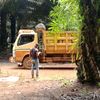 nurdin.hidayat359