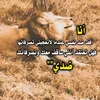 user4306061566800