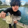 iannumber_2