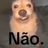 perfildonao