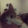 mmixe_
