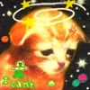 kittylover_ofcouse