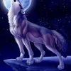 inh.trung.kin60
