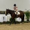 molly_eq_rider