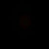 ba029373919