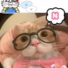 ngn.hay.di01