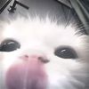 _helpsxani1