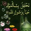 busuribile3