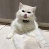 mauu_187